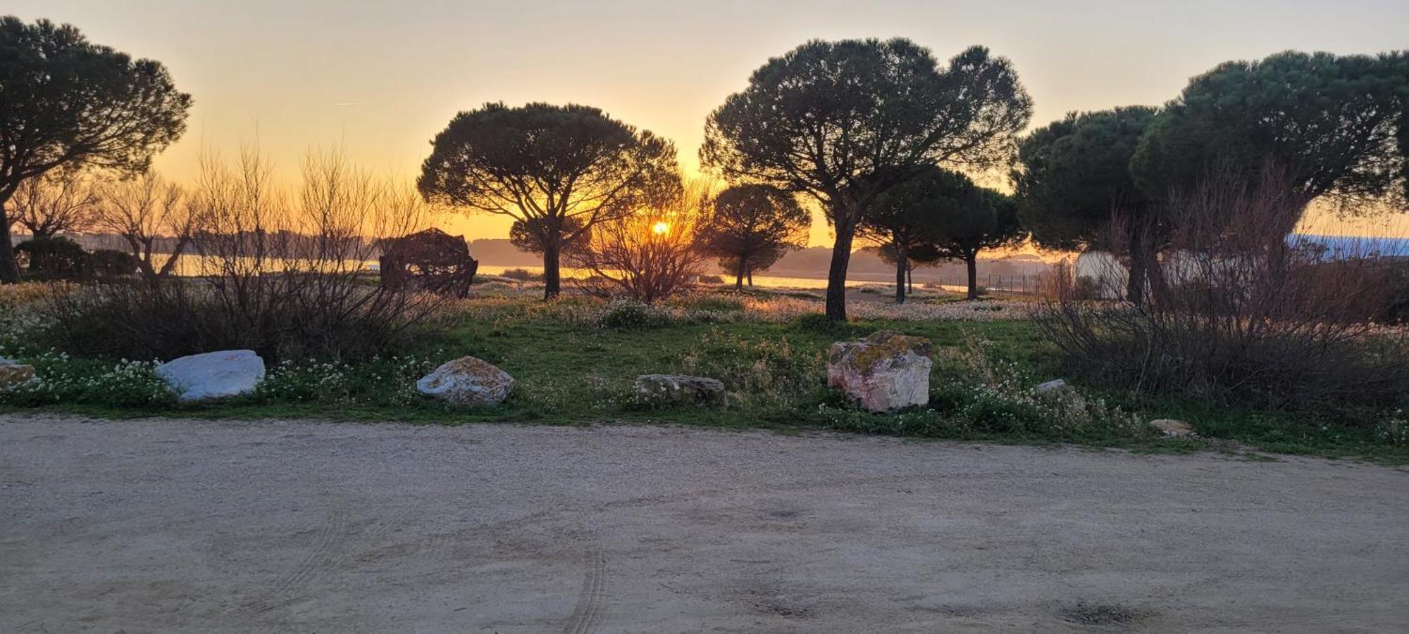 Meze Avec Vue Face A L'Etang Mèze Exterior foto